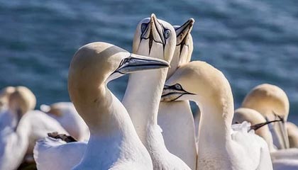 爱游互娱游戏官网-鲁尔区德比迎来高能比赛，鲁尔区德比体育市场化