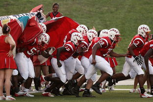 爱游戏体育-青少年体育社团快速发展 激发校园活力，体育社团开展