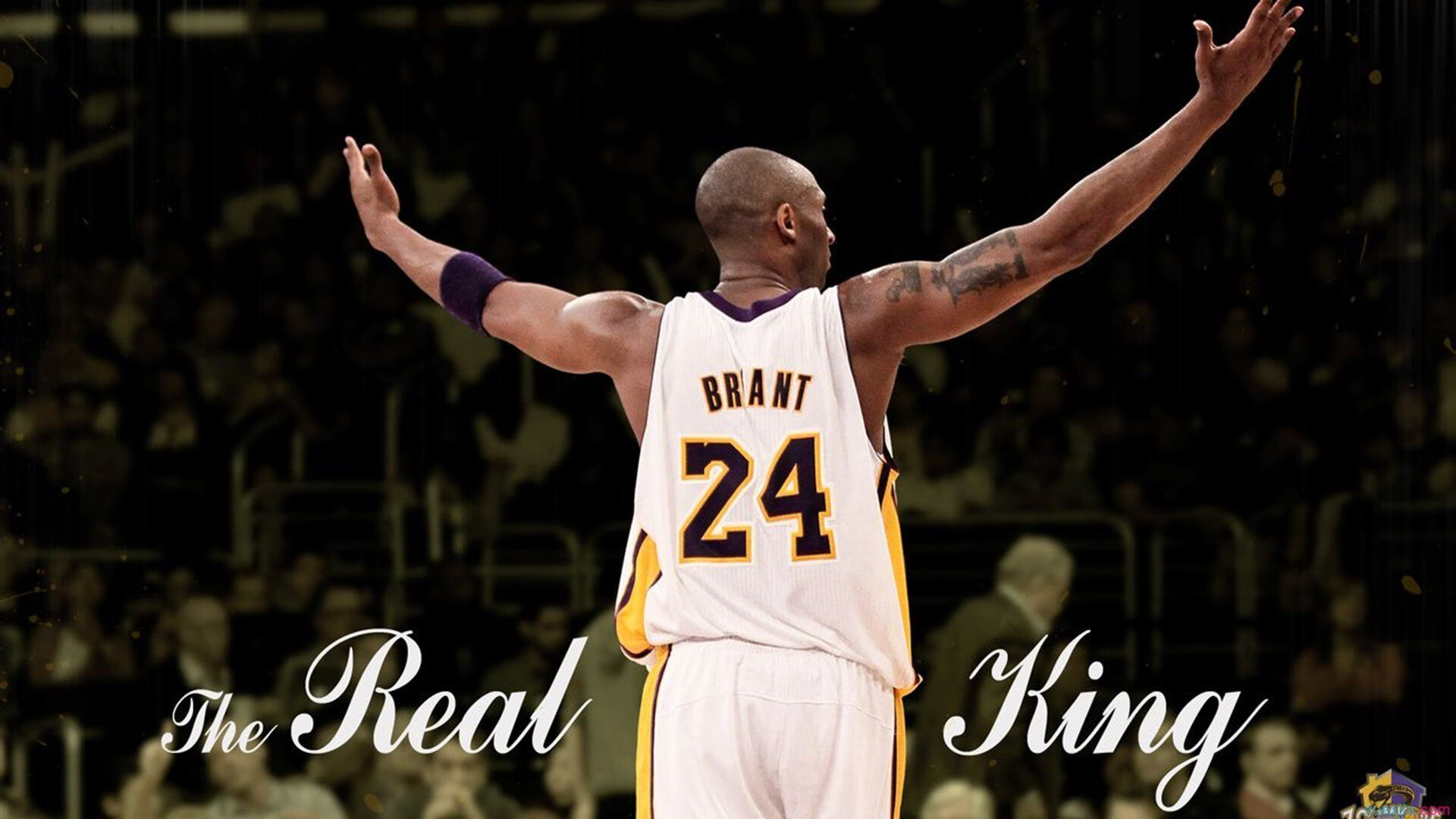 《电竞选手训练有多硬核？幕后训练细节曝光》，电竞选手训练营